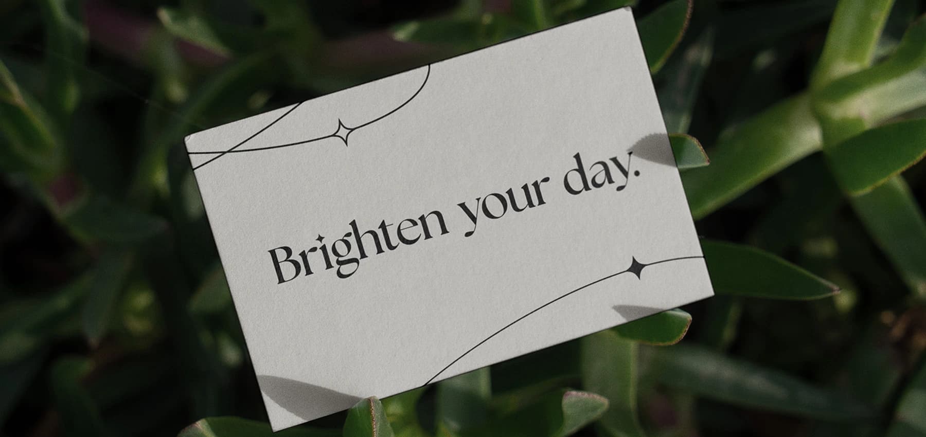 DC Reflections Business Card